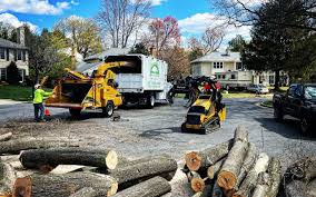 Best Leaf Removal  in Isle Of Palms, SC