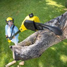 Organic Lawn Care Solutions in Isle Of Palms, SC