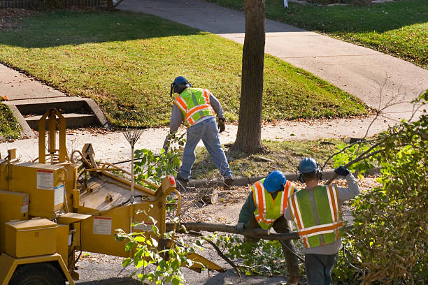 Best Tree Mulching  in Isle Of Palms, SC